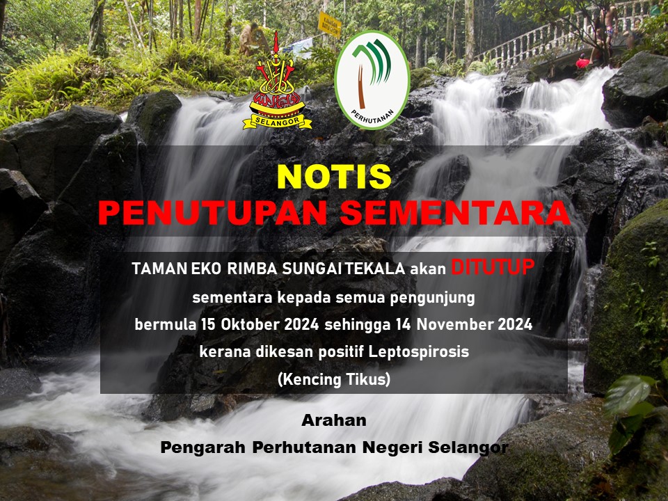 notisSgTekala