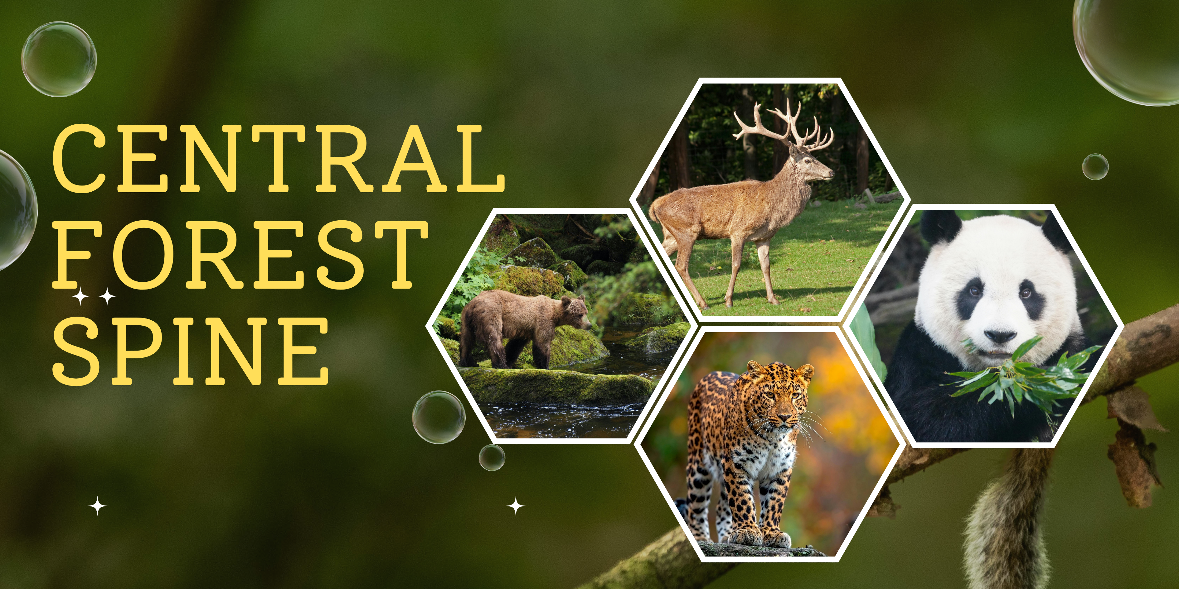 CentralForestSpine(CFS)