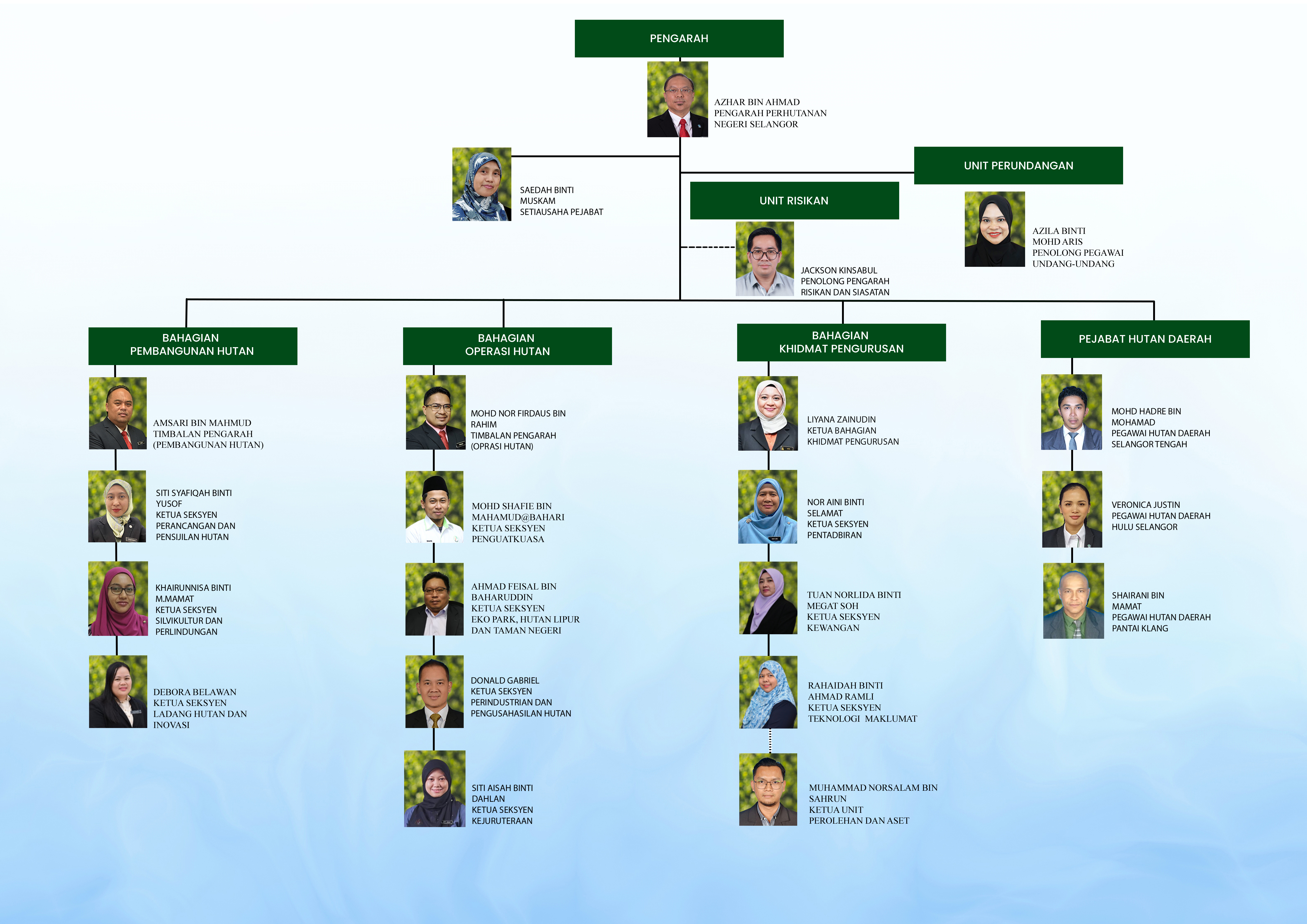 cartaorganisasi